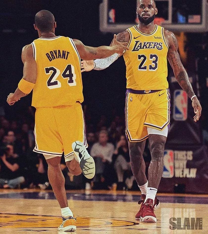 林狼这种内 林狼这种内