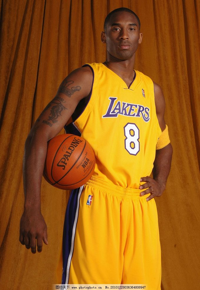 会员体系与 会员体系与